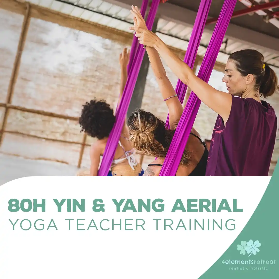 80h Yin & Yang Aerial Yoga Teacher Training