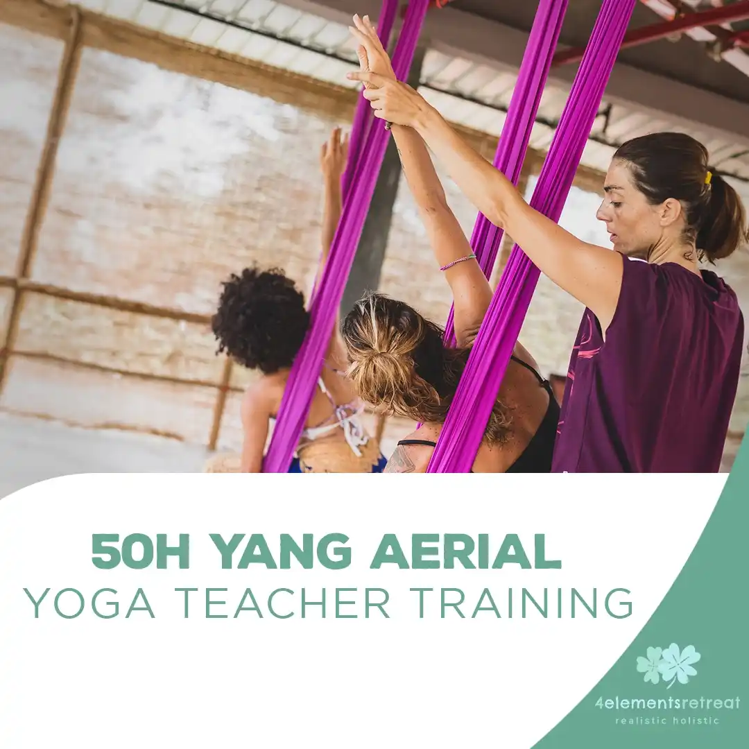 50h Yang Aerial Yoga Teacher Training